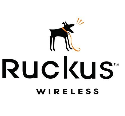 RUCKUS Wireless